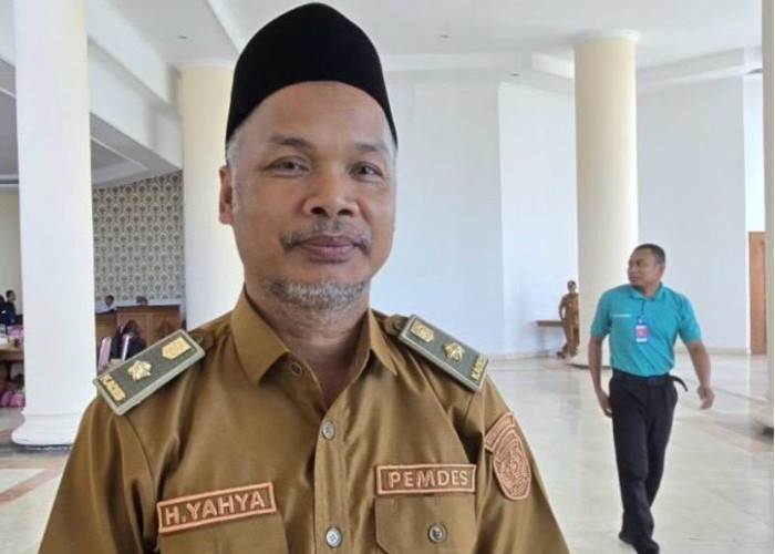 Lahan Bekas Tambang di Desa Embalut Dimanfaatkan untuk Budidaya Jagung