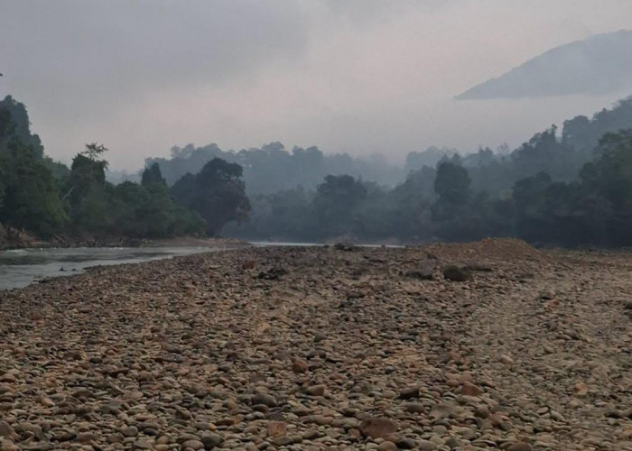 Air Sungai Mahakam Semakin Surut, Pemkab Mahulu Terbitkan SK Status Siaga Darurat