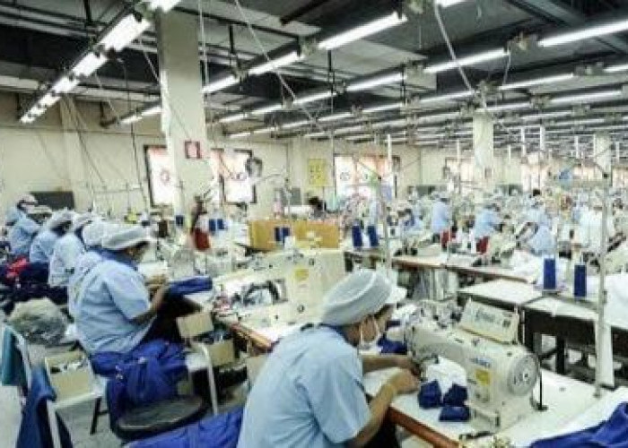 Naskah belum Final, Daftar Inventarisasi Masalah RUU Pelindungan Ketenagakerjaan Tembus 2.100