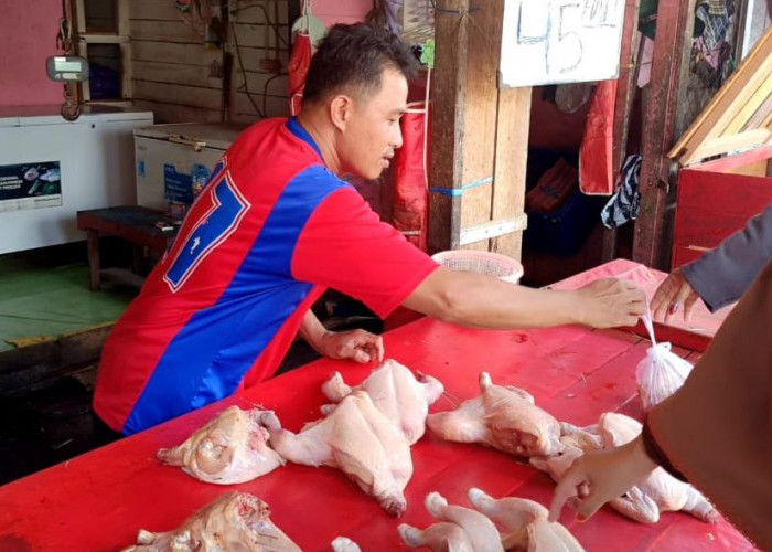  Sempat Sentuh Rp95 Ribu per Kg Usai Lebaran, Kini Harga Daging Ayam di Tenggarong Turun