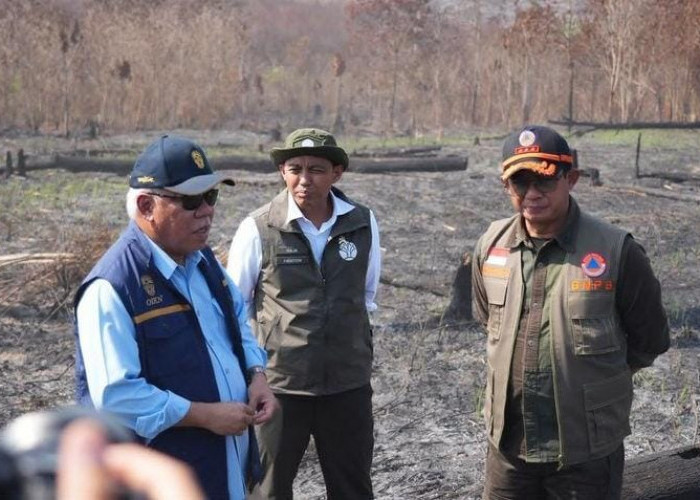Karhutla Ancam Kawasan IKN, Tiga Perusahaan Pemegang Izin Ditindak