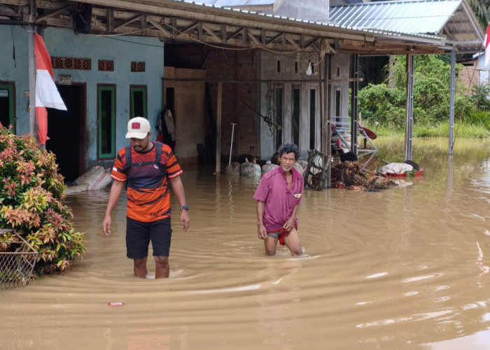 Meski Turun, BPBD Catat Banjir Dominasi Bencana di Paser Sepanjang 2025
