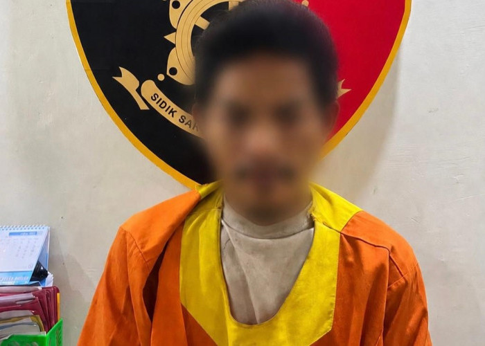Sewa Pikap untuk Angkut Keramik Curian, Pria di Balikpapan Malah Diantar Warga ke Polisi