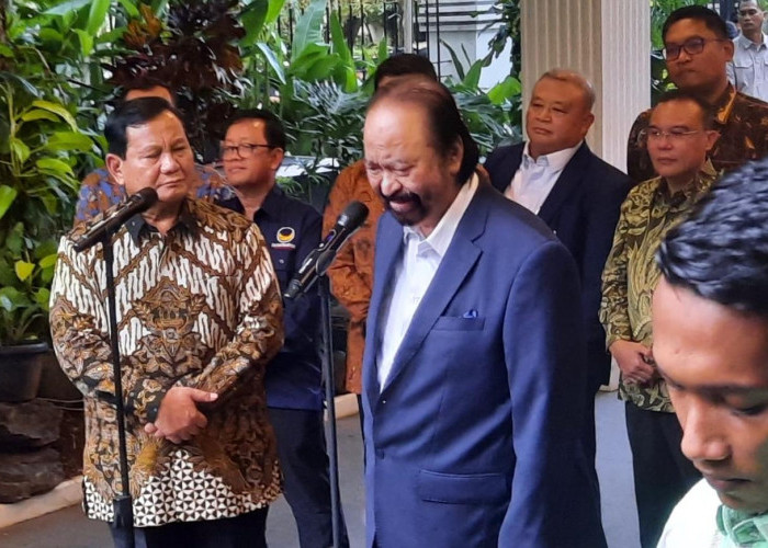Akhirnya NasDem Nyatakan Dukung Pemerintahan Prabowo-Gibran, Setelah Pertemuan di Jalan Kertanegara