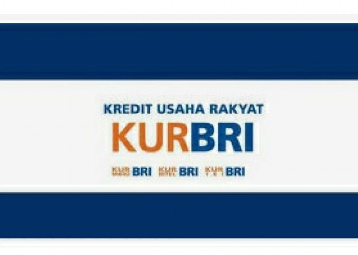 Tertarik Ajukan KUR di Bank BRI? Simak Panduannya Agar Pinjaman Bisa Cair