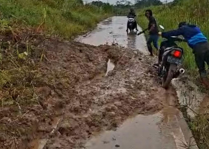 PUPR Samarinda Anggarkan Rp5 Miliar Tangani Longsor Jalan Tembusan Pelita 3 ke Jalan Gerilya