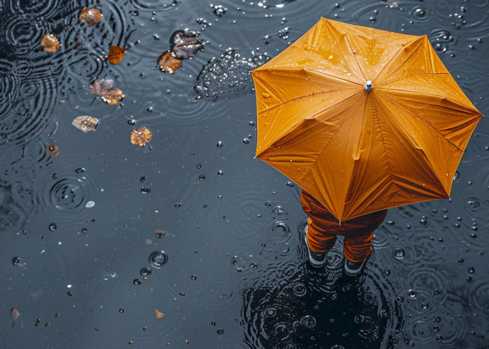 Ramalan Cuaca Kaltim dan IKN, 14 September 2025, Cek di Sini!