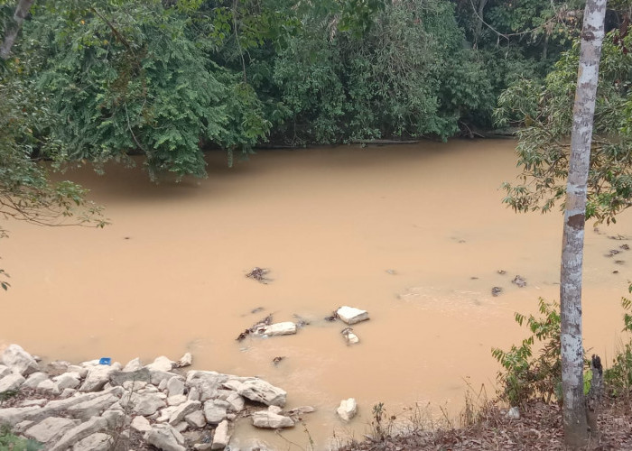 Masyarakat Tiga Desa di Batu Sopang Keluhkan Sungai Keruh, Tambang Emas Ilegal Diduga Jadi Penyebab 