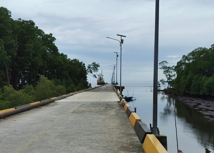 Rencana Hilirisasi CPO ke Biodiesel, Pemkab Kutim Siapkan KEK Maloy jadi Basis Industri Sawit 