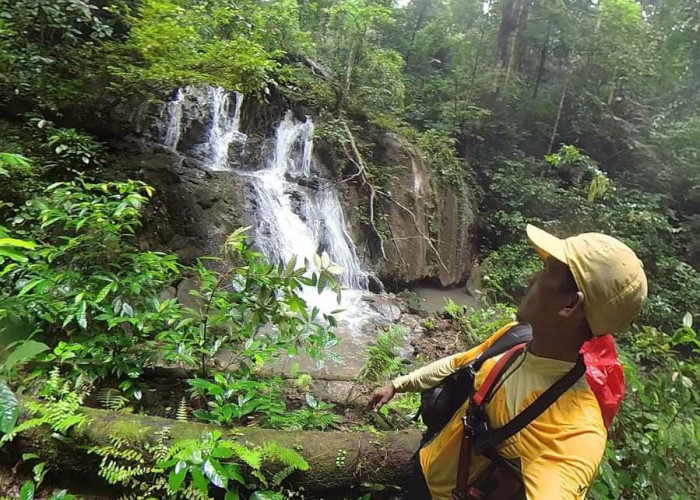 Pesona Rantau Buta di Paser: Air Terjun 8 Tingkat hingga Satwa Endemik 