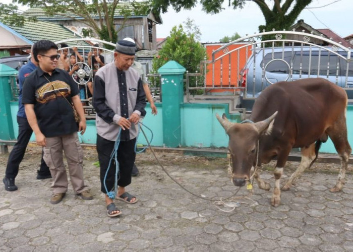 Pemkab Kukar Serahkan Bantuan 2 Ekor Sapi Kurban di Muara Badak