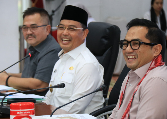 Di Hadapan Komisi II DPR RI, Ria Norsan Tegaskan Pemekaran Kapuas Raya Jadi Kebutuhan Mendesak