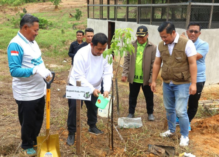 Kampung Buah Sukaraja PPU, Bantu Ekonomi dan Penurunan Emisi Karbon