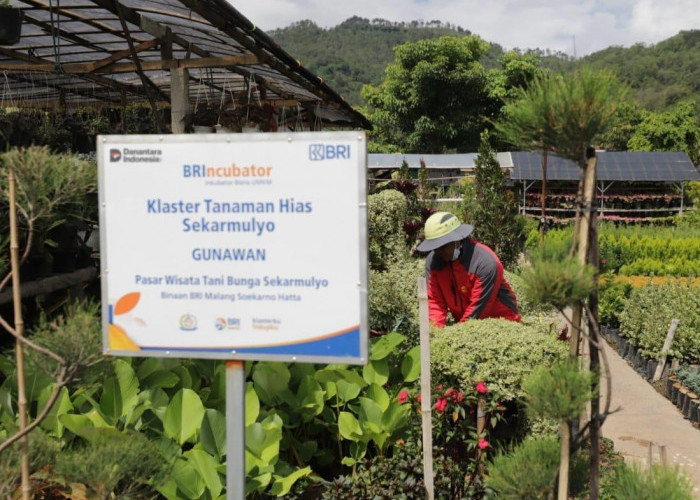 BRI Sudah Berdayakan 41 ribu Klaster Usaha melalui Pembiayaan dan Literasi Keuangan