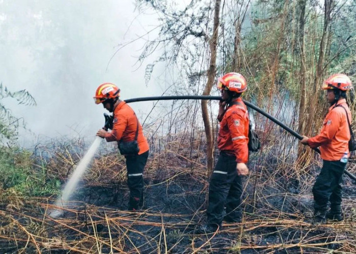 Titik Panas Melonjak, BPBD Kaltim Minta Warga Tak Bakar Lahan