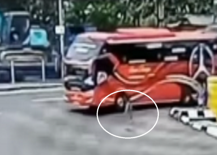 Nahas! Bocah 5 Tahun Terlindas Bus saat Berburu Klakson Telolet di Pelabuhan Merak  