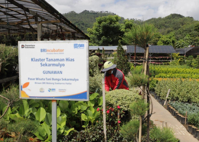 Perkuat Ekonomi Kerakyatan Berbasis Komunitas, BRI Berdayakan Lebih dari 42 Ribu Klaster Usaha