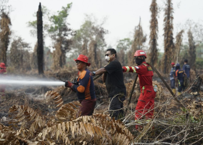 PT Berau Coal Perkuat Penanganan Karhutla di Berau, ERG Terjun Bersama Tim Gabungan