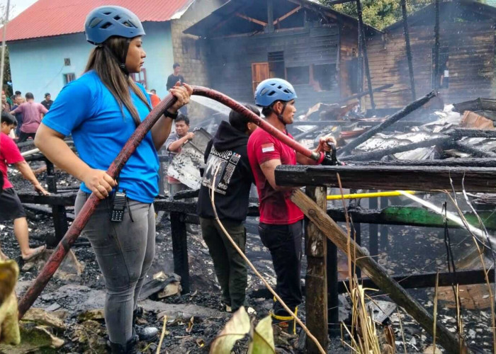 Si Jago Merah Mengamuk di Barong Tongkok, Satu Rumah Ludes Dilahap Api