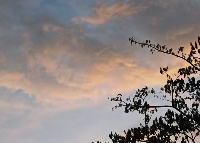 Ramalan Cuaca Kaltim, 8 Mei 2025, Cek di Sini!