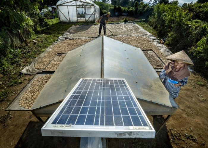 Wujudkan Komitmen Sebagai World-Class Sustainable Banking Group, BRI Perkuat Kontribusi terhadap SDGs 