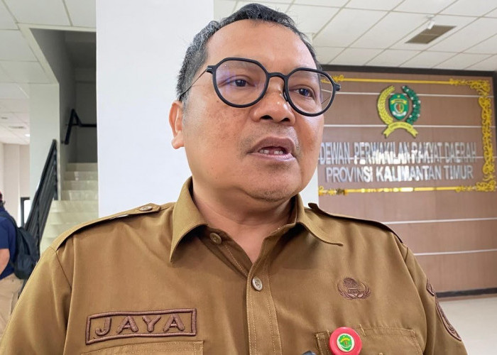 TPP ASN Tak Cair Sejak Juni, Dinkes Kaltim Sarankan RS Manfaatkan BLUD