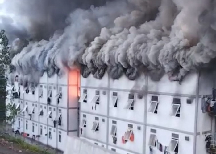 IAI Kaltim Tanggapi Kebakaran Hunian Pekerja IKN, Desak  Sistem Keamanan Diaudit