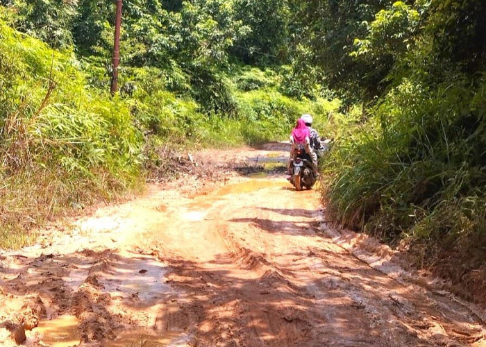 Jalan Utama 3 Kampung di Jempang Kubar Rusak, Warga Desak Perbaikan Permanen
