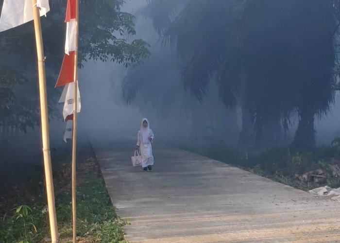 Indeks Pencmaran Udara di Paser Masuk Level Tidak Sehat, Warga Diminta Kurangi Aktivitas di Luar Ruangan