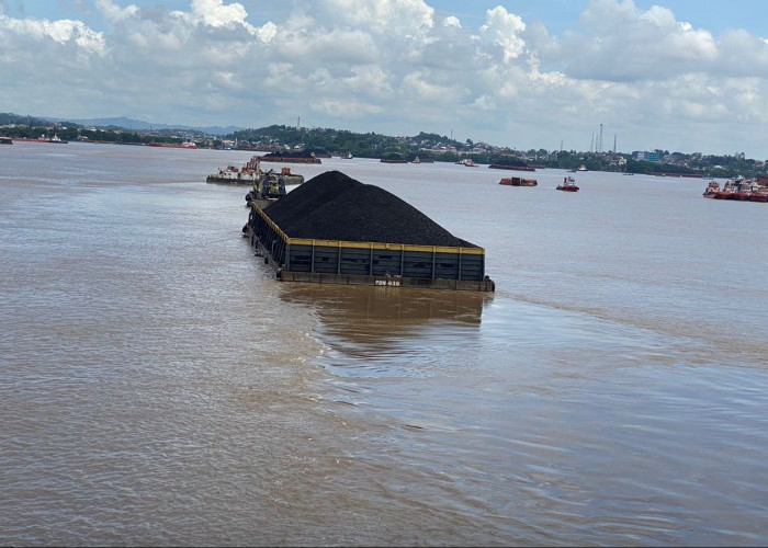 Banyak Penambatan Ilegal, DPRD Kaltim Sebut Potensi Pendapatan Daerah Hilang