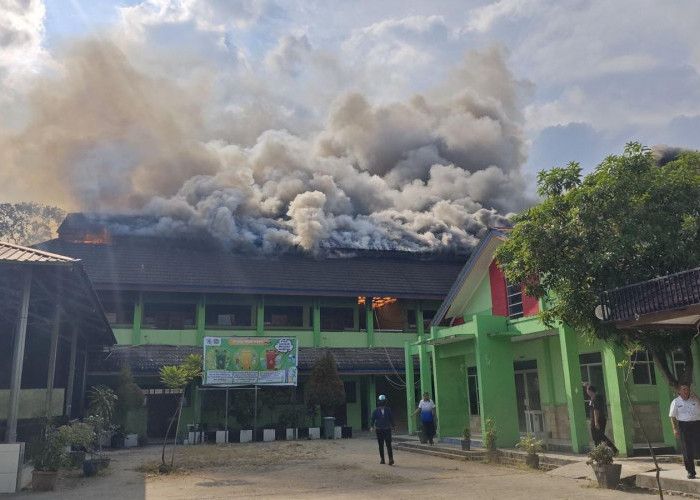 Waspada! Damkar Samarinda Ingatkan Risiko Kebakaran Saat Musim Kemarau