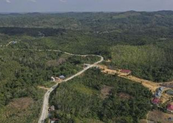 DPR RI Siap Fasilitasi Penyelesaian Konflik Lahan Tahura di Samboja