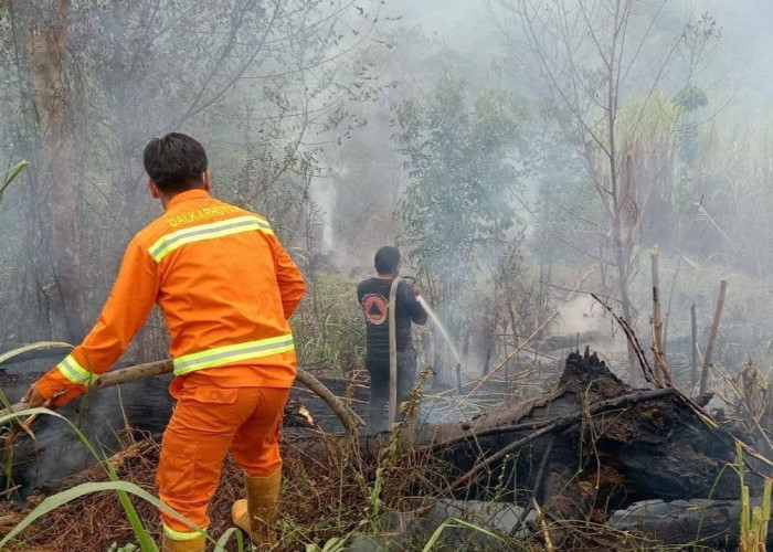 Karhutla Berulang, DPRD Kaltim Menilai Pemprov Minim Upaya Mitigasi dan Komunikasi