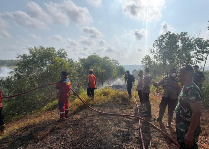 Lahan 4 Hektare di Balikpapan Timur Terbakar, 3 Sapi Nyaris Terpanggang