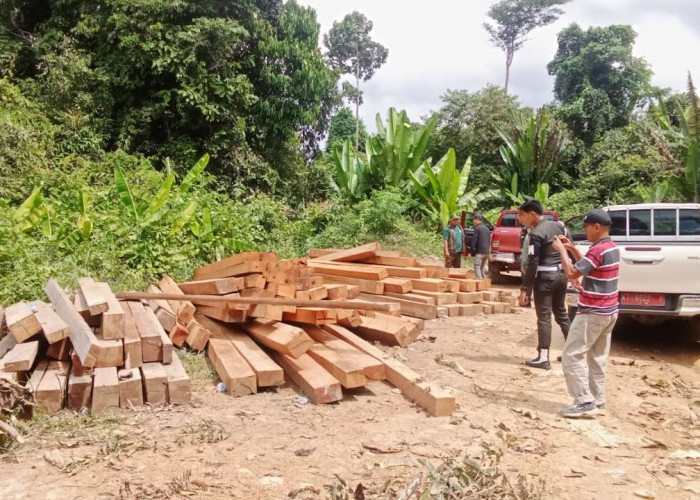 Razia di Hutan Desa Besiq Kutai Barat Temukan Ratusan Kubik Kayu Ilegal, Akses Dirusak untuk Halangi Petugas