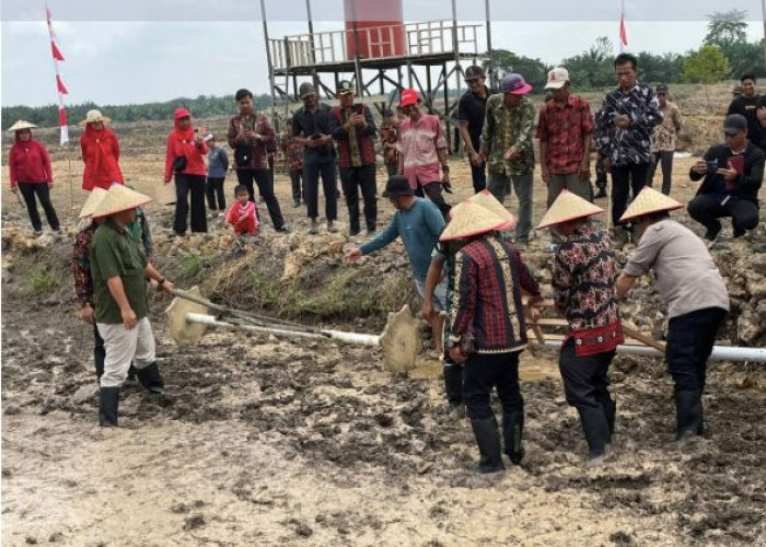Kutai Barat Cetak Sawah 69,87 Hektare, Target Jadi Lumbung Pangan