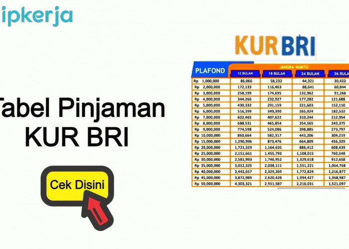 Bunga Rendah, Pinjaman KUR BRI Kian Diminati