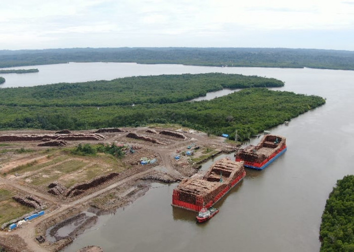 Akademisi Unmul Ini Ingatkan Deforestasi Kaltim Masuki Fase Kritis