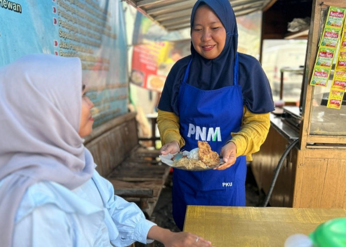 Perempuan Ini Sukses Kembangkan Usaha Rumahan hingga Jadi Andalan Transaksi Warga melalui BRILink Agen