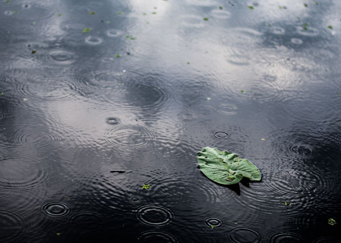 Ramalan Cuaca Kaltim dan IKN, 21 Februari 2026, Cek di Sini!