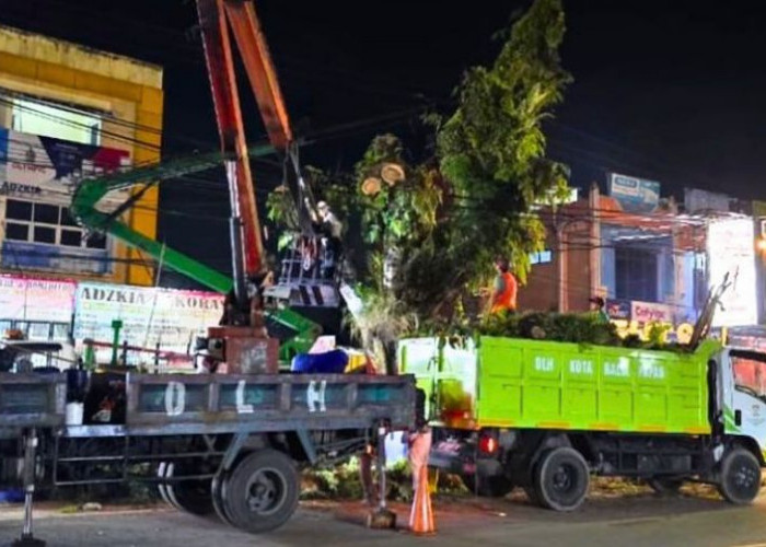 Antisipasi Kecelakaan, DLH Balikpapan Lakukan Pemangkasan Pohon dan Pembersihan Sedimen