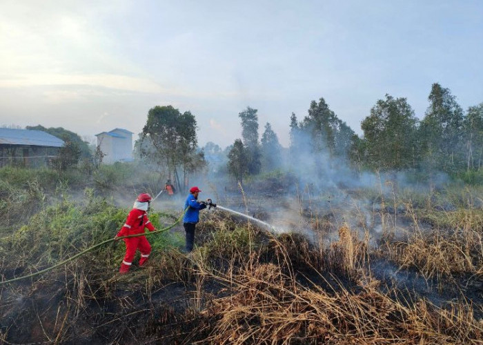 Waspada Karhutla, 171 Titik Panas Terdeteksi di Paser 