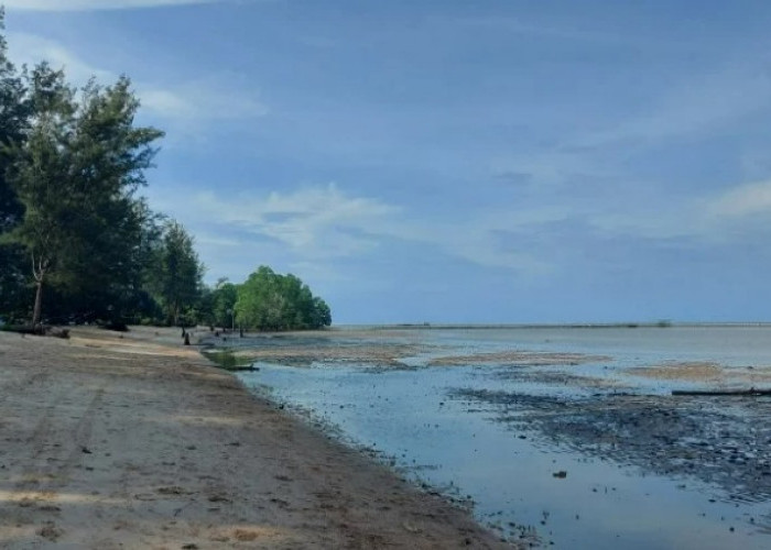 Pantai Tanah Merah Paling Subur Sumbang PAD Kukar dari Sektor Pariwisata