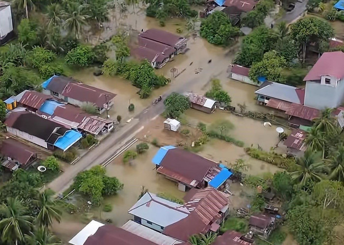 Debit Sungai Meluap, Banjir Rendam Permukiman Warga di Muara Wahau dan Kongbeng