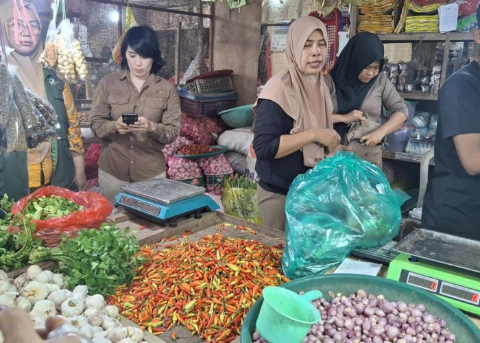 Usai Melambung Tinggi, Harga Cabai di Kutim Mulai Normal di Angka Rp100 Ribu Per Kilogram