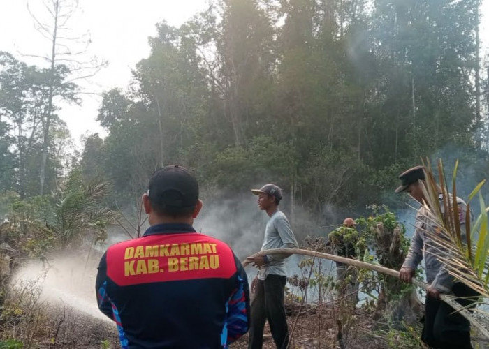 Api Belum Terkendali, Pemprov Kaltim Buka Opsi Status Karhutla Menjadi Bencana Nasional