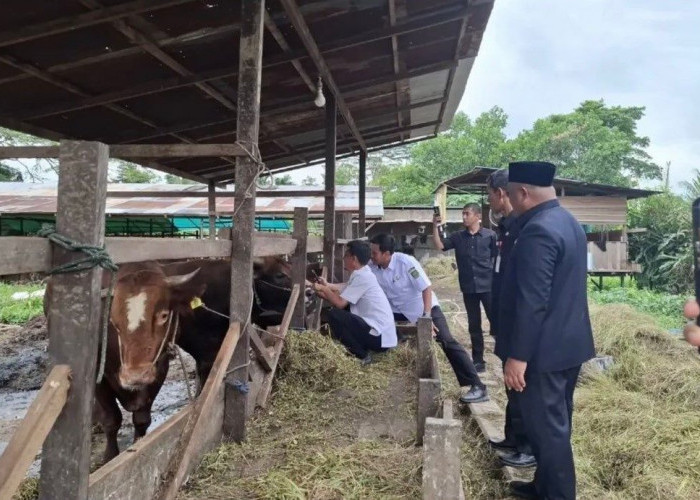 Baru Tersedia Satu RPU dan RPH Bersertifikat Halal di Berau, MUI Ungkap Kendala Pengembangannya