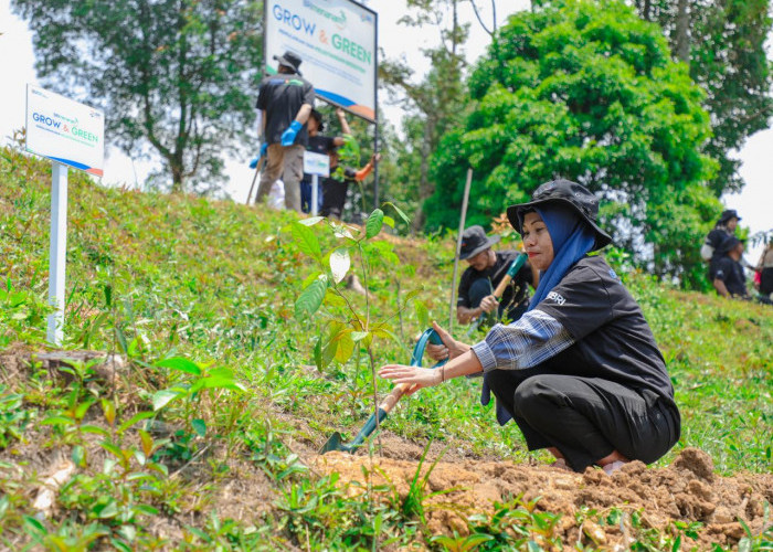 Aksi Nyata Kelompok Tani Selamatkan Lingkungan Bersama BRI Menanam-Grow & Green