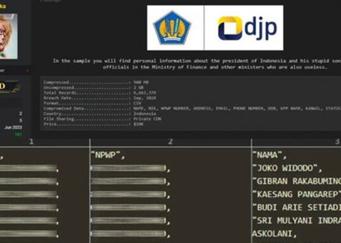 6 Juta Data NPWP Bocor Dibobol Hacker, DPR Panggil Menkominfo dan Menkopolhukam