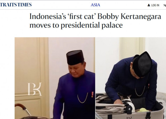 Bobby, Kucing Kesayangan Presiden Prabowo Jadi Sorotan Media Asing 